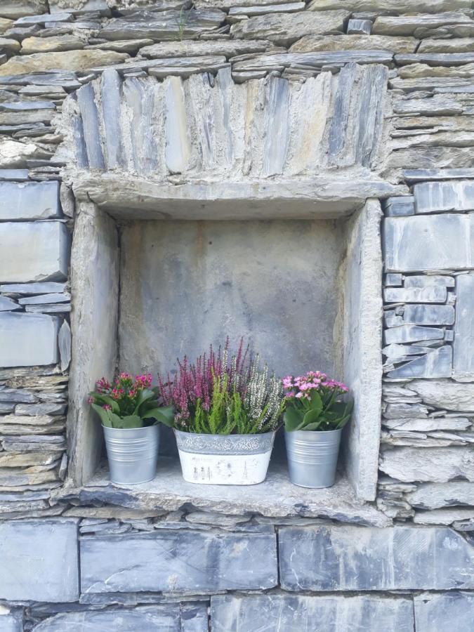 Ca' Da Tollo Hotel Cogorno ภายนอก รูปภาพ