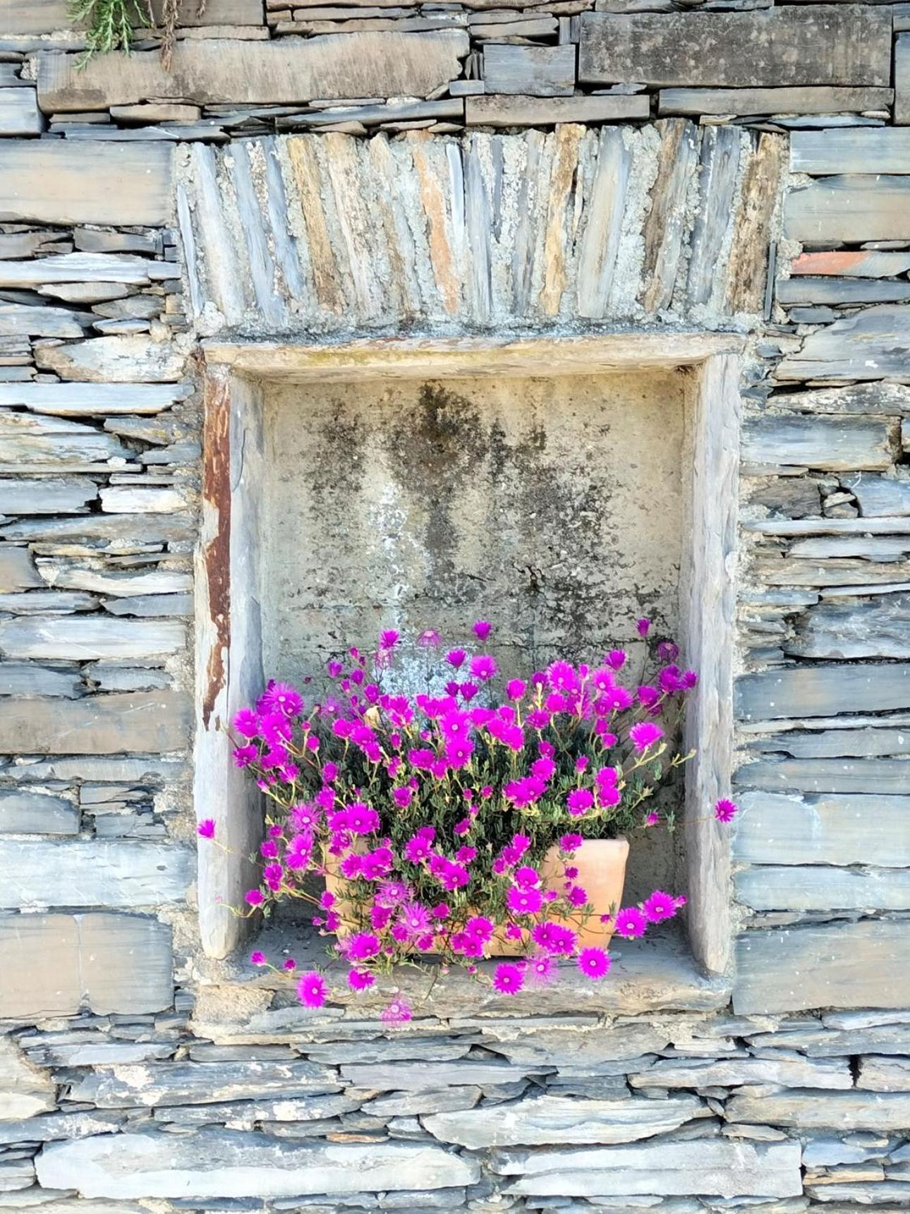 Ca' Da Tollo Hotel Cogorno ภายนอก รูปภาพ